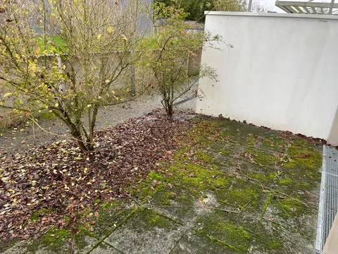 Terrasse et abords avant nettoyage