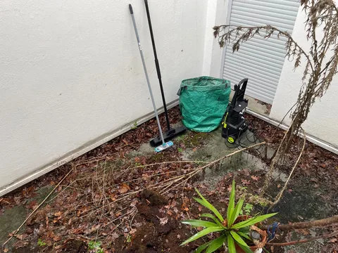 Patio avant nettoyage